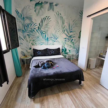 Apartmán Cactus, Entrada Privada Y Bano Privado En By Flamingo House, No Fumadores