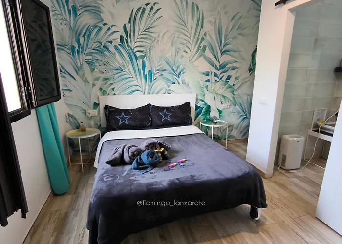 Appartement Cactus, Entrada Privada Y Bano Privado En By Flamingo House, No Fumadores